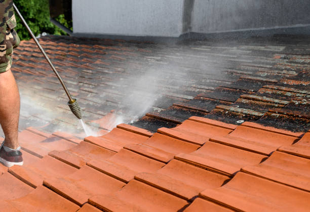 Best Roof Power Washing Services  in Baldn, WI